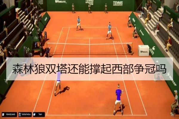 森林狼双塔还能撑起西部争冠吗